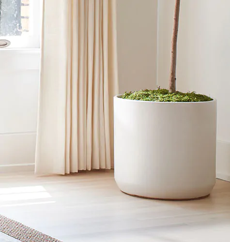 Tailored Pleat Drapery in Luxe Linen Oyster with floating drapes beside a plant, showing how high curtains should be off the floor for float-length